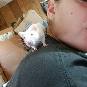 Meet your Posher, Tabitha